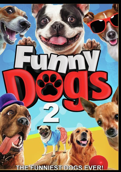 Funny Dogs 2 -