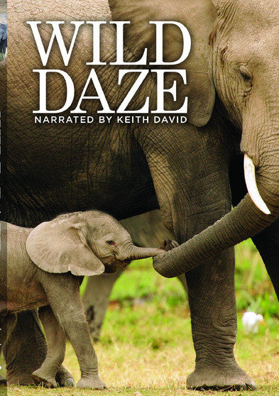 Wild Daze -