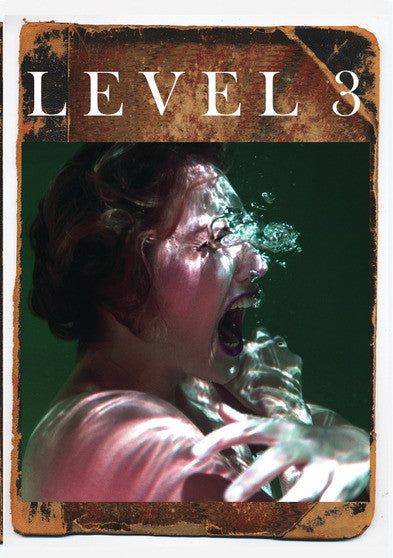 Level 3 -