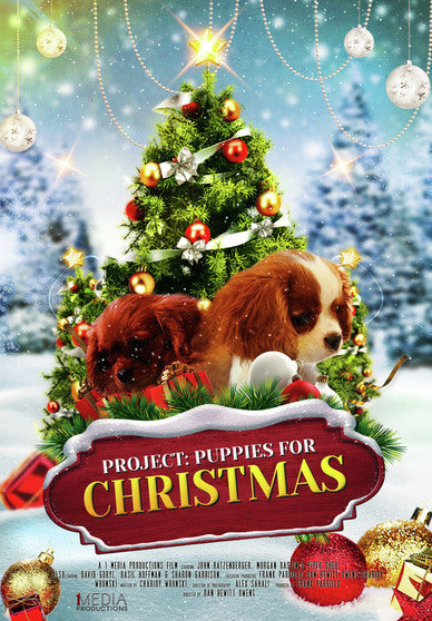 Project: Puppies for Christmas -