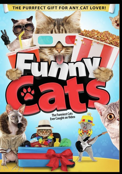 Funny Cats -