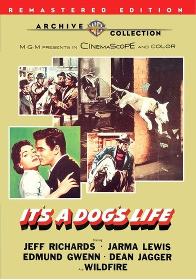 It's A Dog's Life -
