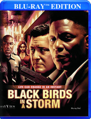 Black Birds in a Storm - 