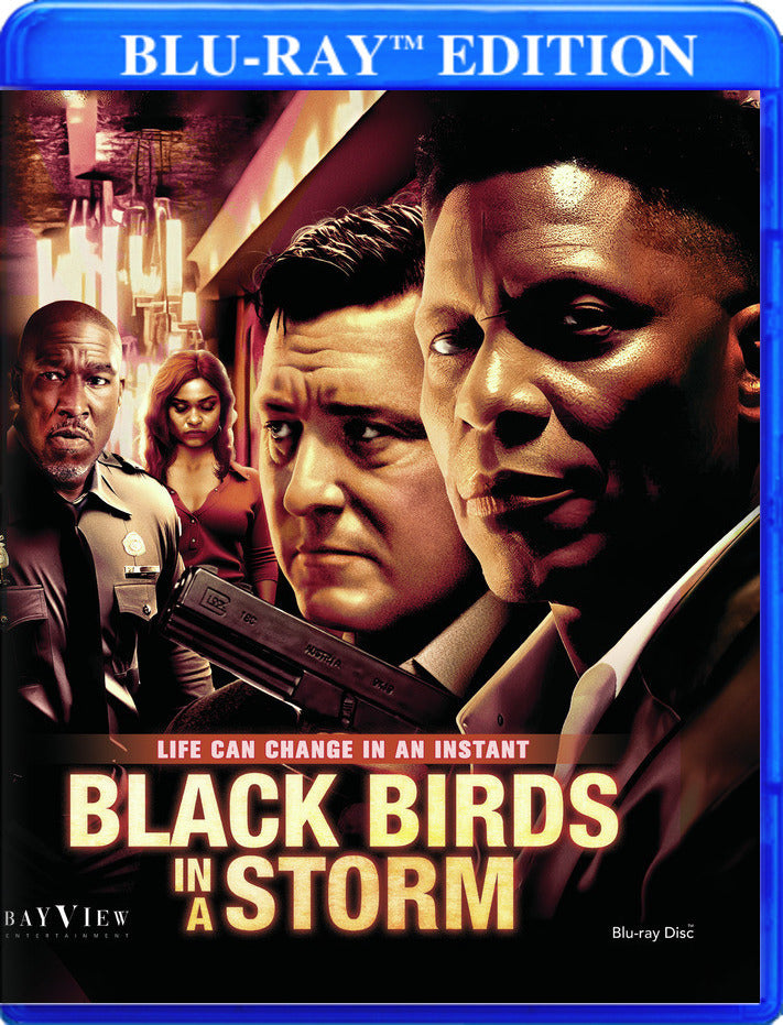 Black Birds in a Storm - 