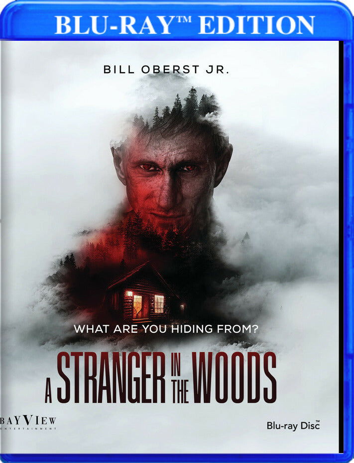 a stranger in the woods - Blu-ray