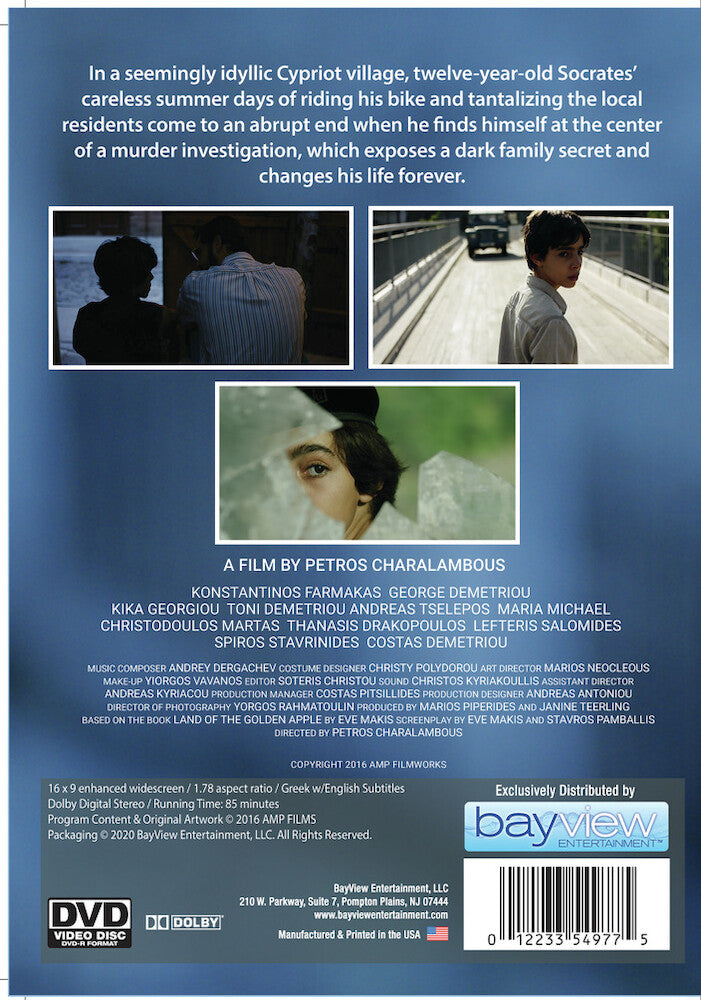 Boy on the Bridge - Back Panel - 