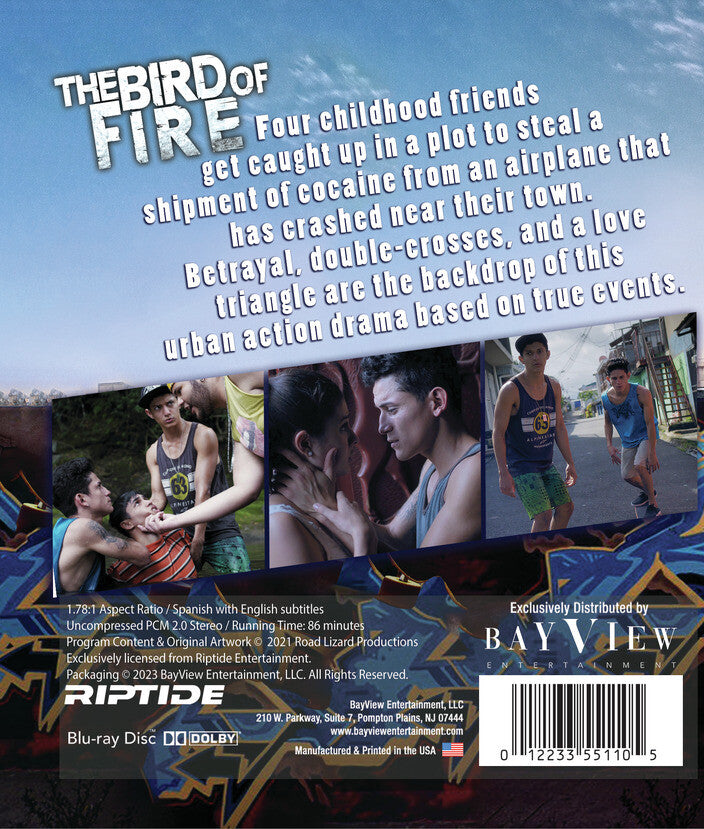 Bird Of Fire [Blu-ray] - Back Panel - 