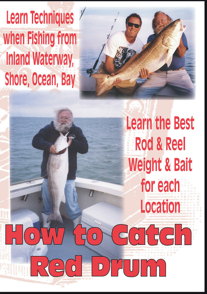 How To Catch Red Drum - 
