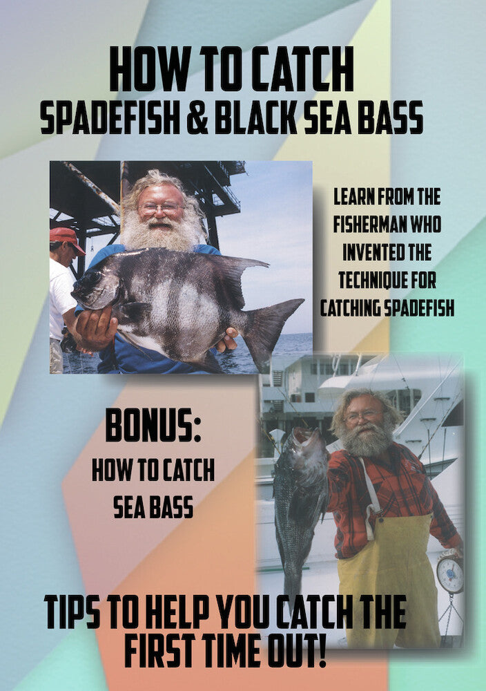 How To Catch Spadefish & How To Catch Black Sea Bass - 