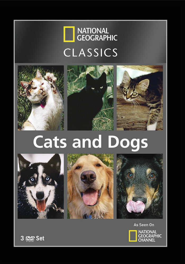 national geographic classics: cats & dogs - DVD