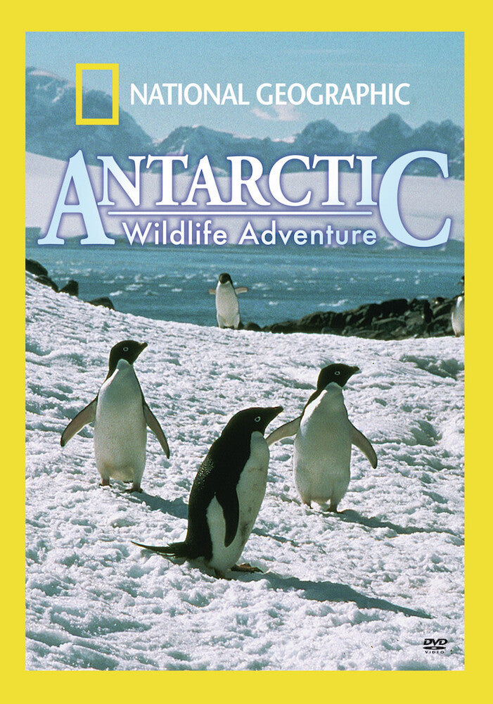 national geographic: antarctic wildlife adventure - DVD