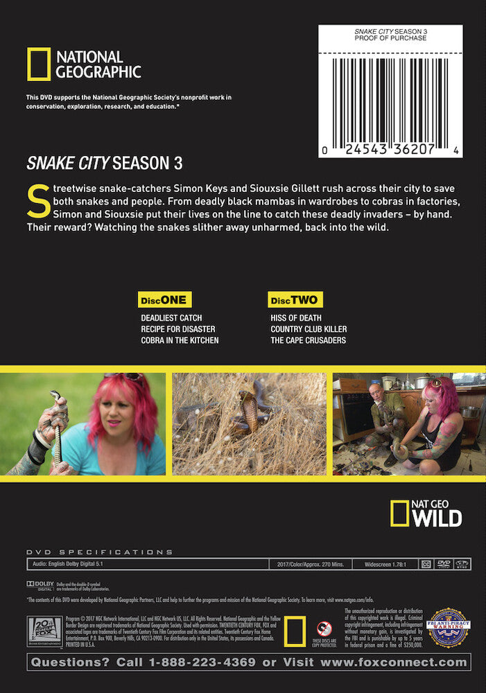 snake city s3 - Back Panel - DVD