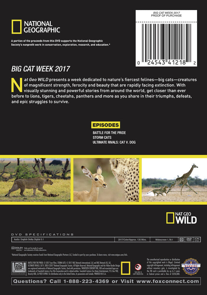 big cat week 2017 - Back Panel - DVD