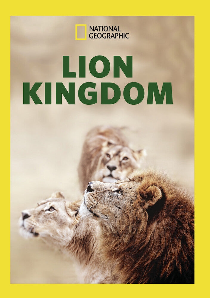 lion kingdom - DVD