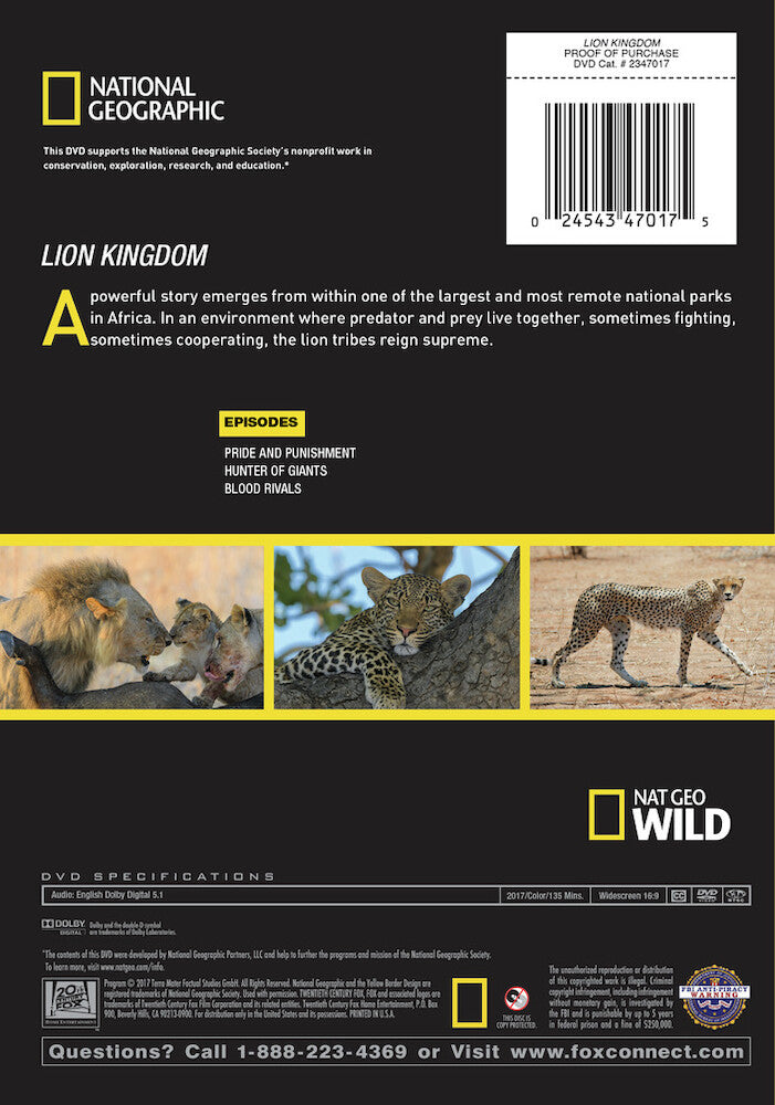 lion kingdom - Back Panel - DVD