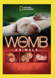 in the womb: animals - DVD