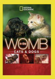 in the womb: cats & dogs - DVD