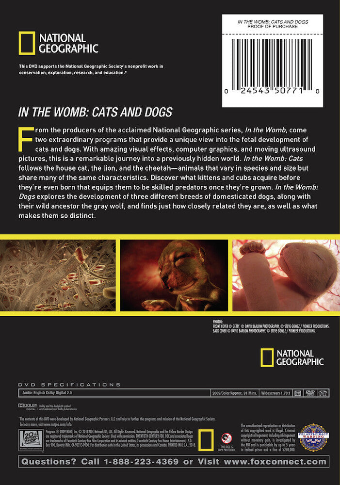 in the womb: cats & dogs - Back Panel - DVD