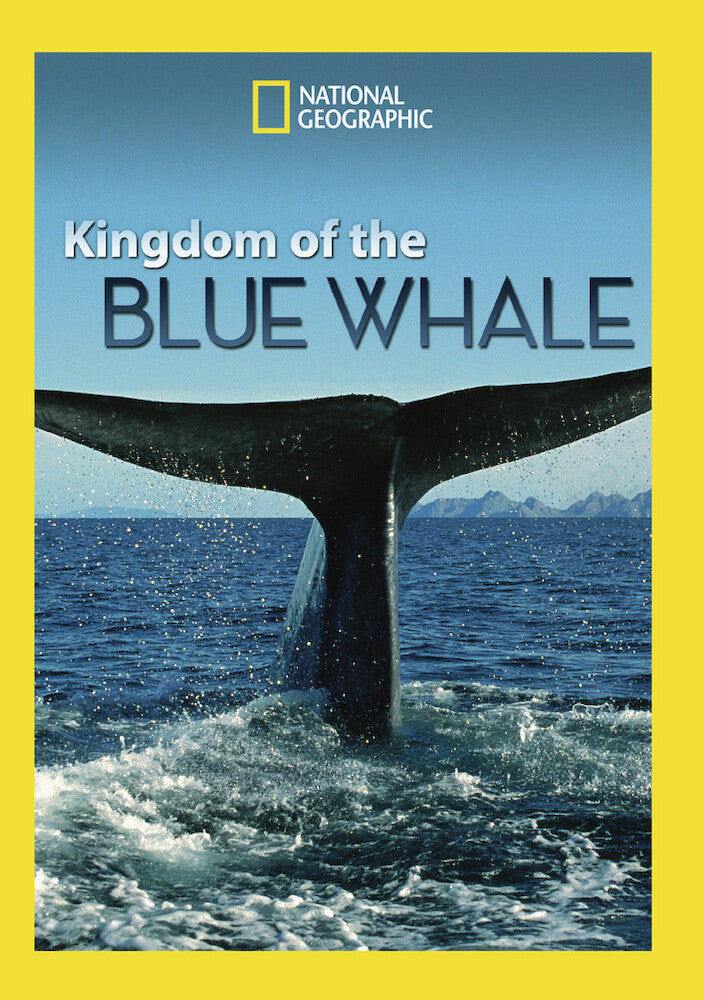 kingdom of the blue whale - DVD