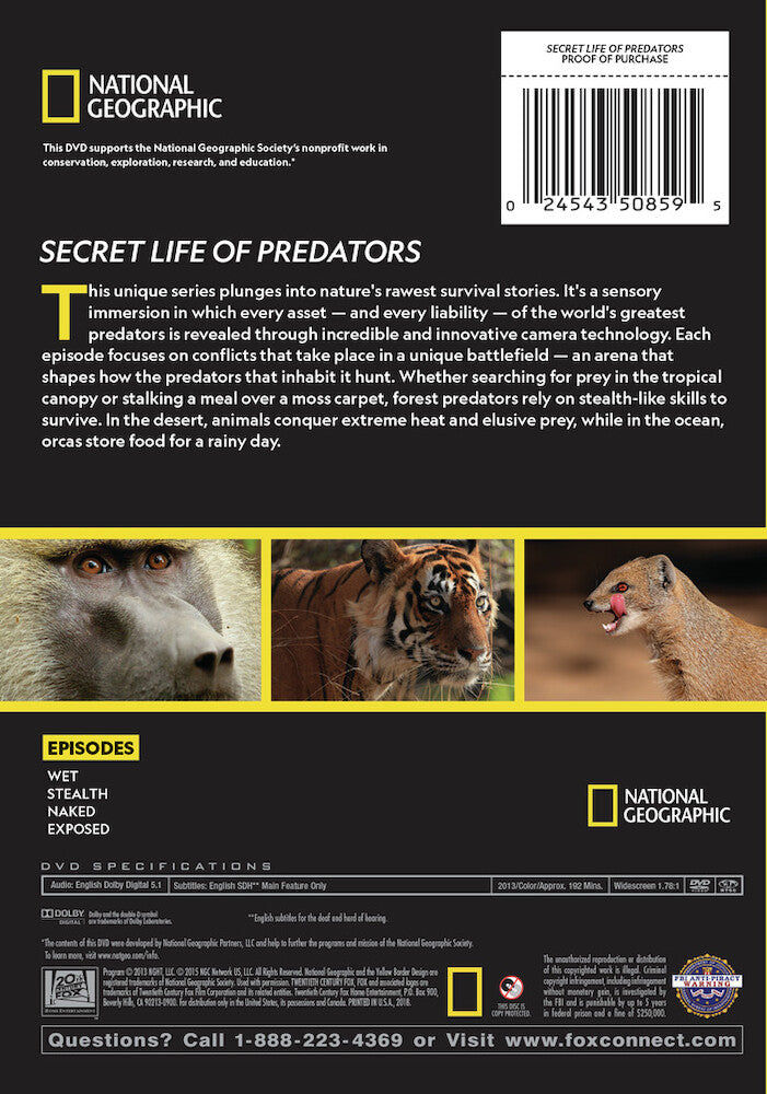 secret life of predators - Back Panel - DVD