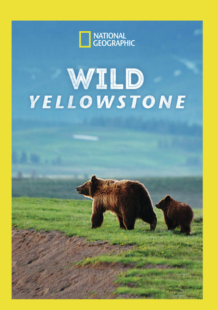 wild yellowstone - DVD