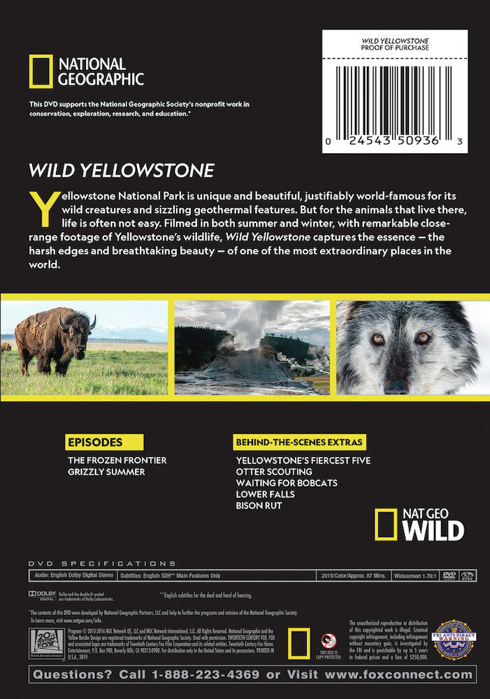 wild yellowstone - Back Panel - DVD