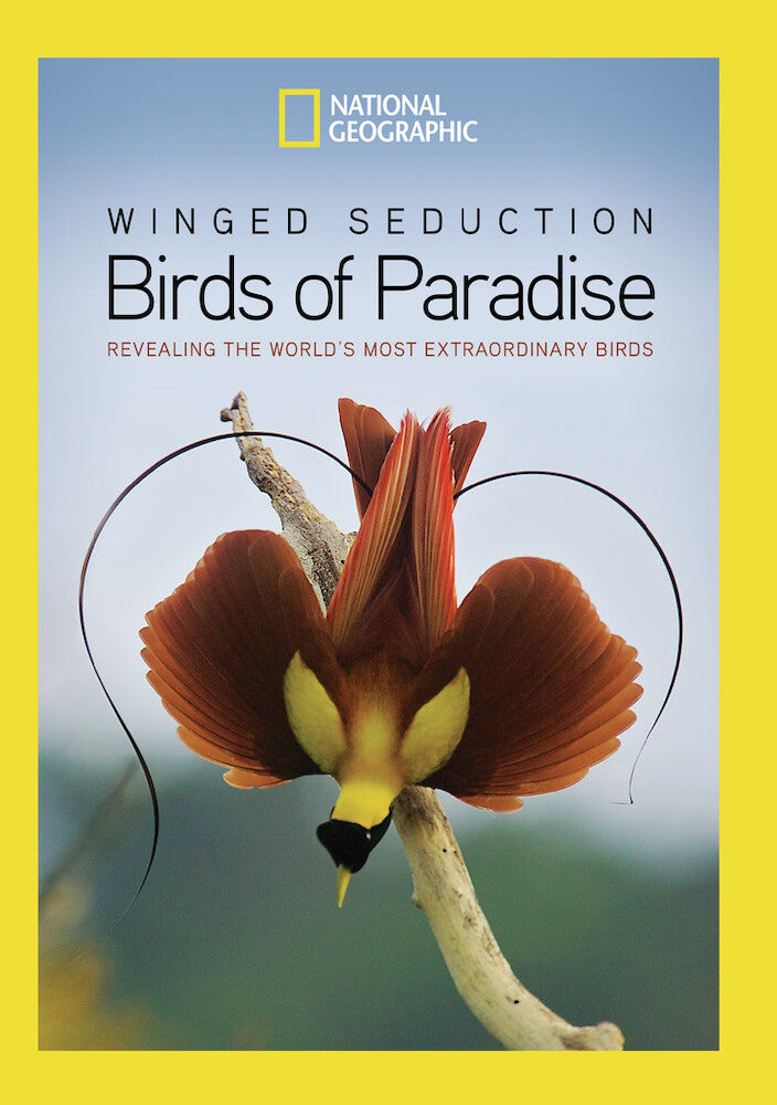 winged seduction: birds of paradise - DVD