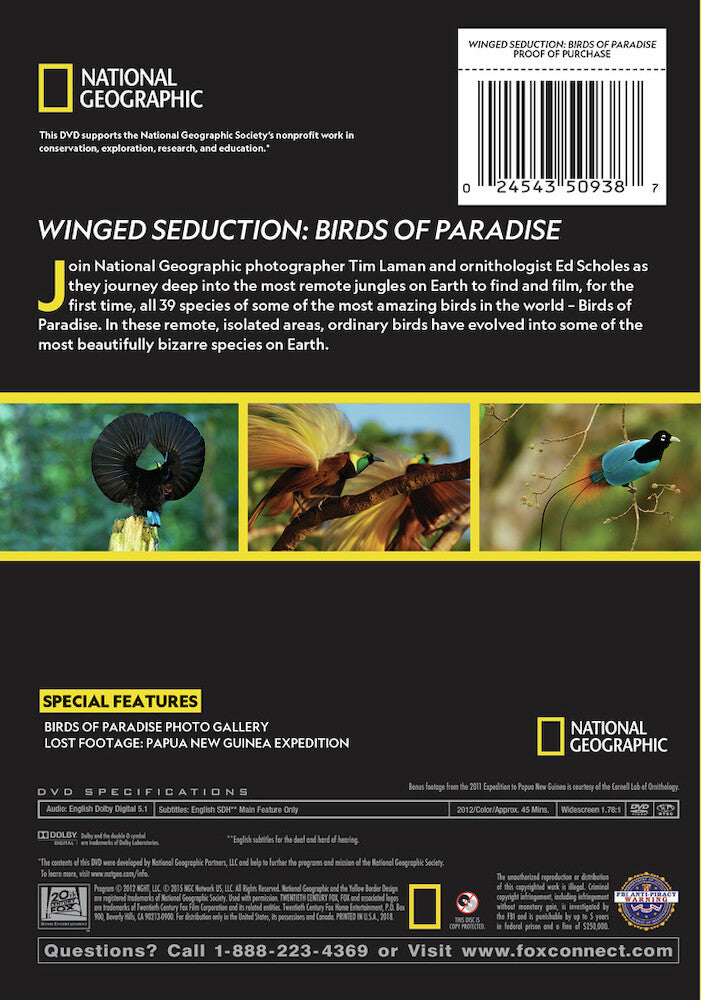 winged seduction: birds of paradise - Back Panel - DVD