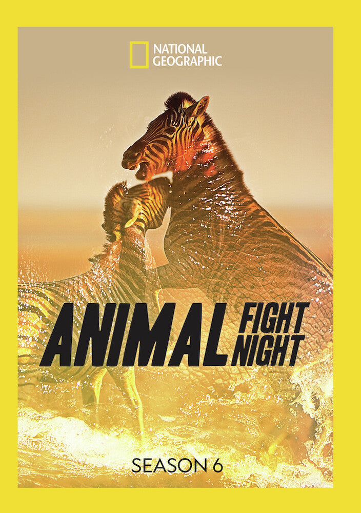 animal fight night: season 6 - DVD