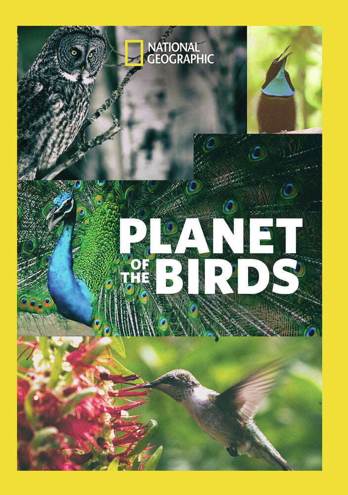 planet of the birds - DVD