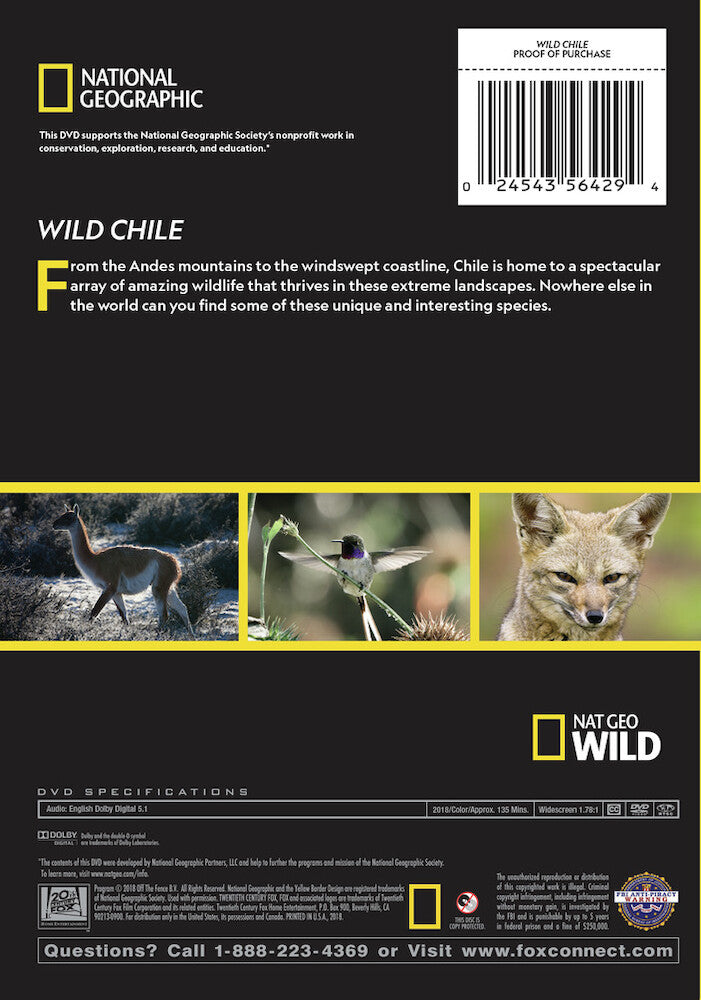 wild chile - Back Panel - DVD