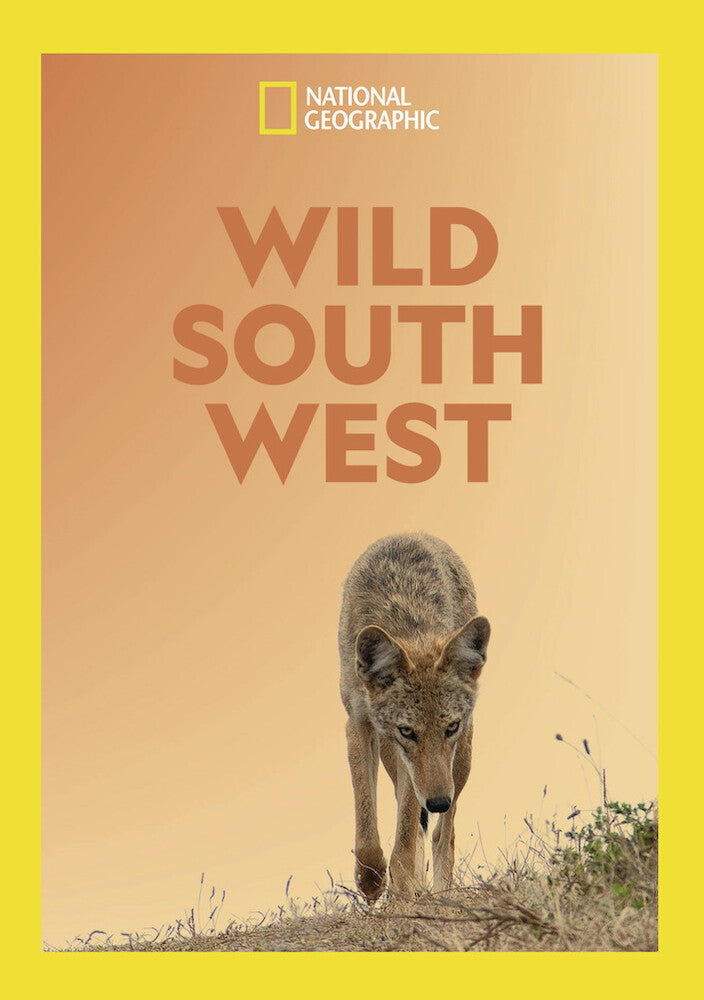 wild south west (fka south by wild west) - DVD