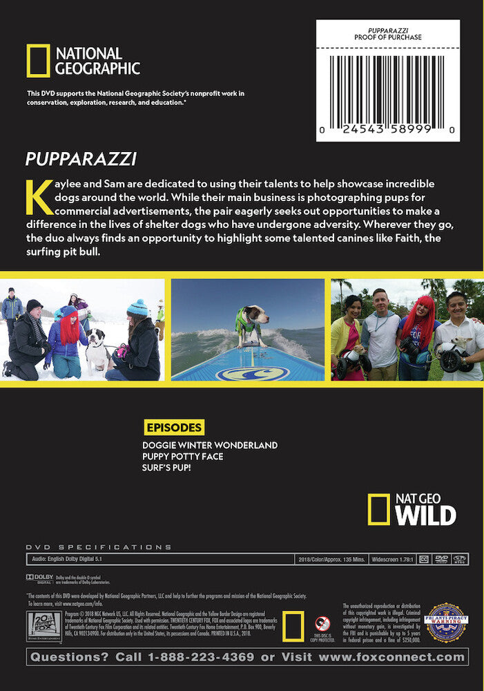 pupparazzi - Back Panel - DVD