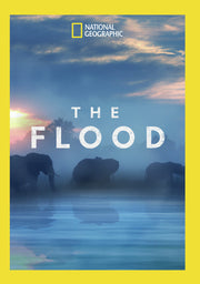 the flood - DVD