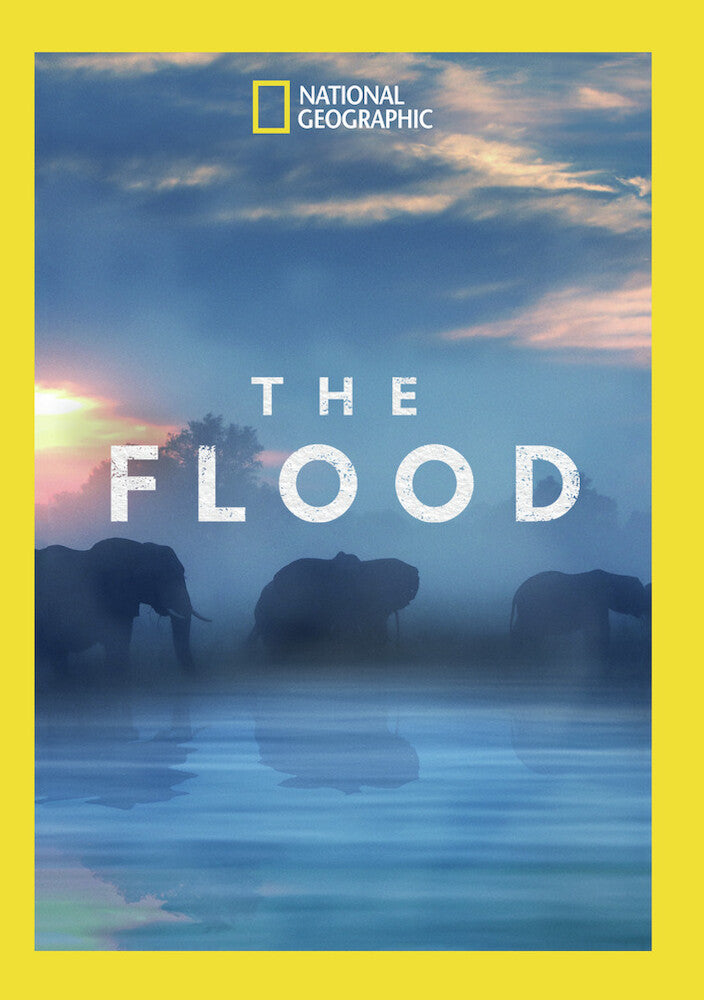 the flood - DVD