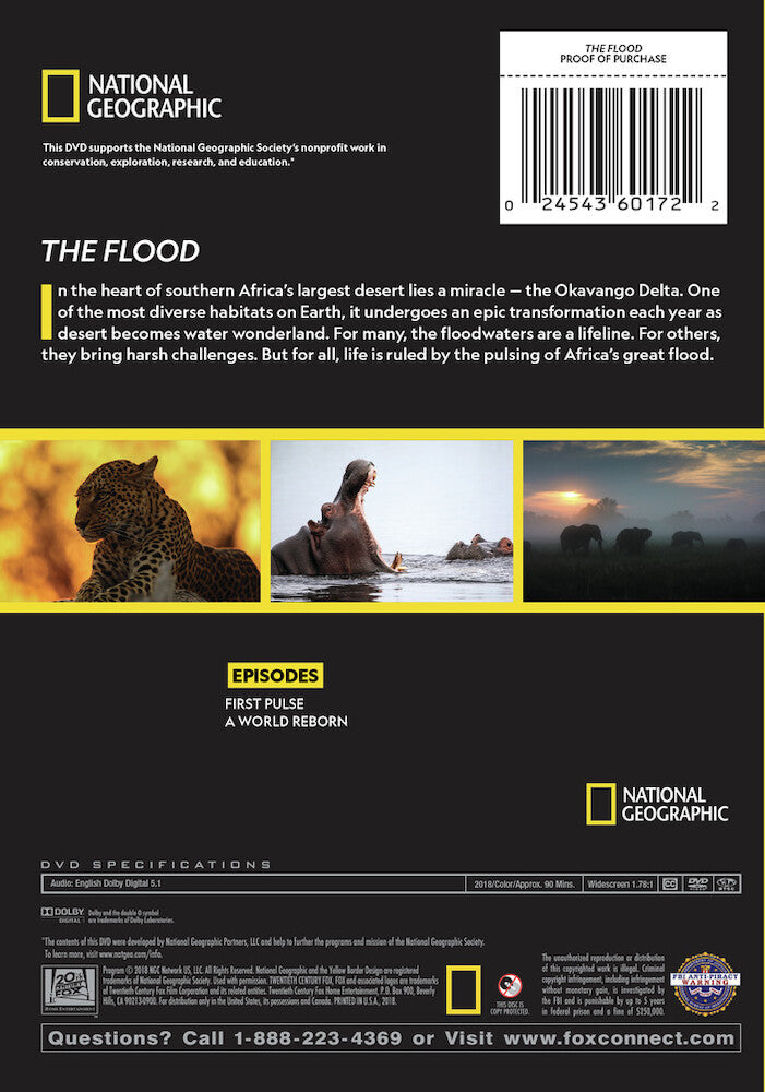 the flood - Back Panel - DVD
