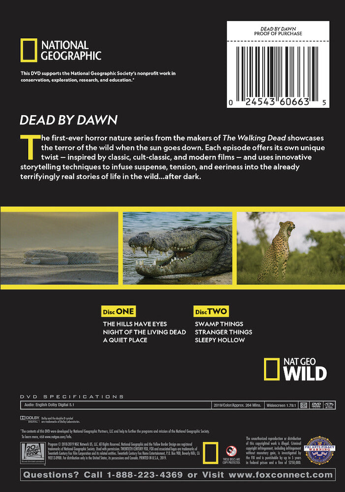 dead by dawn - Back Panel - DVD