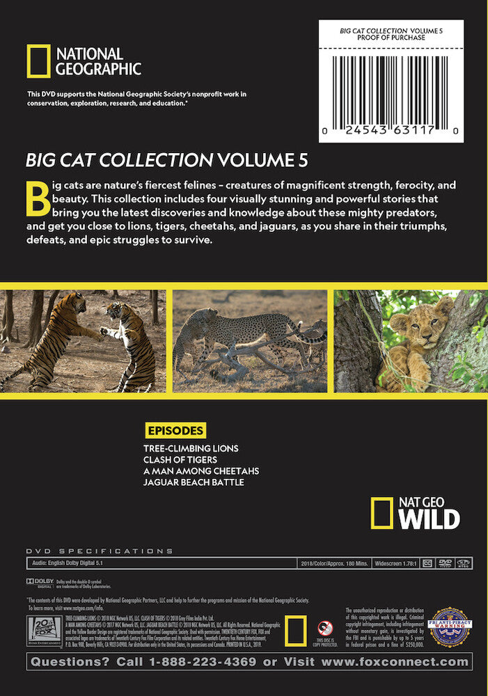 big cat collection vol 5 - Back Panel - DVD