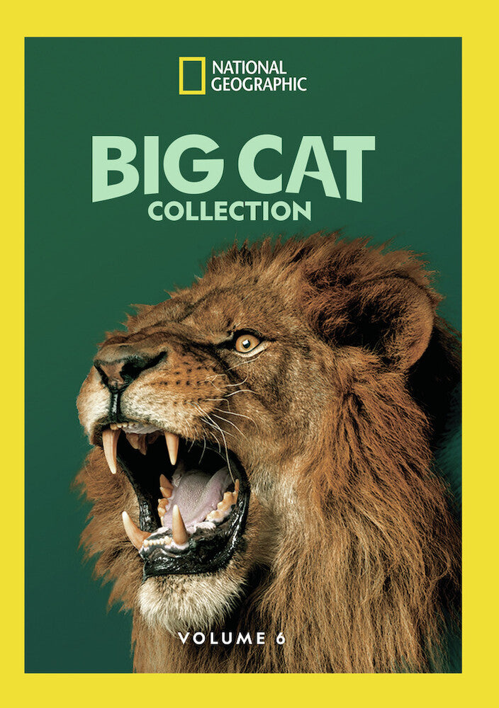 big cat collection vol 6 - DVD