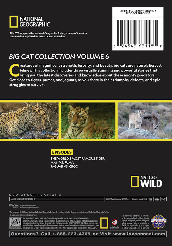 big cat collection vol 6 - Back Panel - DVD
