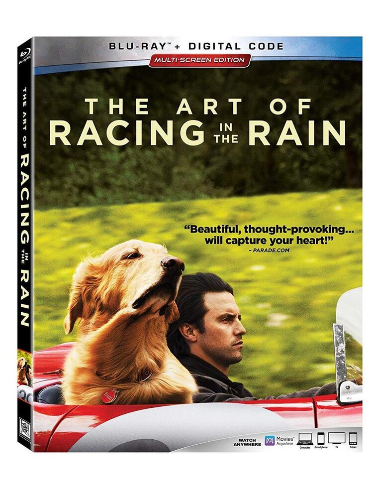The Art of Racing the Rain - 