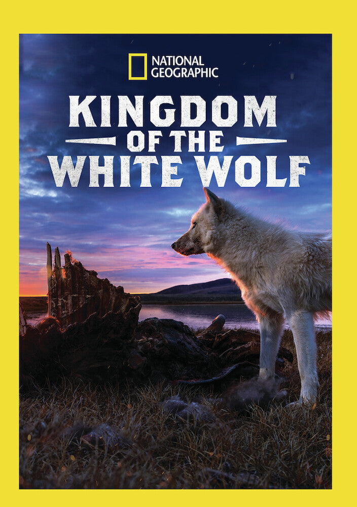 kingdom of the white wolf - DVD