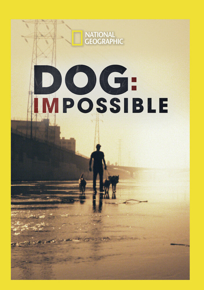 dog: impossible - DVD