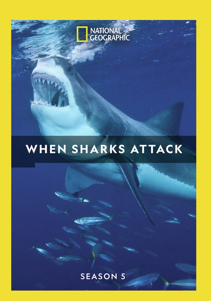 when sharks attack - season 5 - DVD