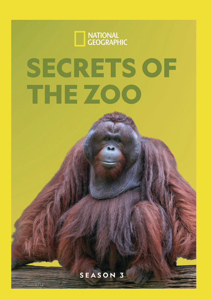 secrets of the zoo - season 3 - DVD