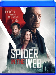 Spider In The Web - 