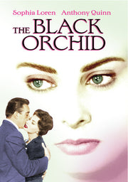 Black Orchid - 
