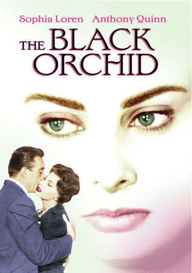 Black Orchid - 