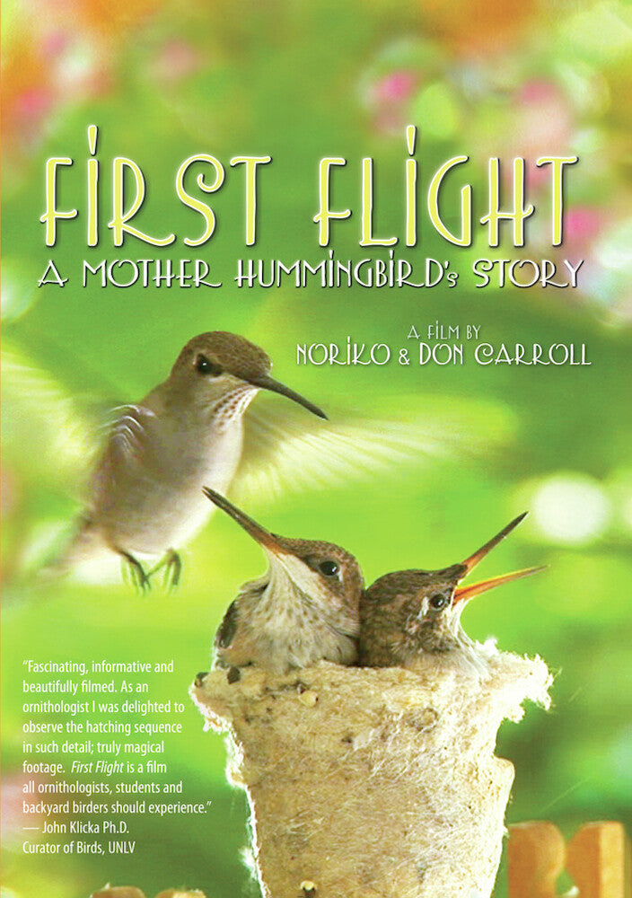 first flight - a mother hummingbird's story - DVD