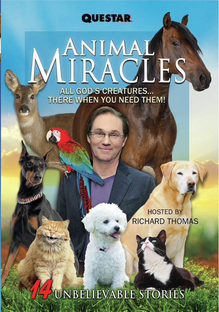 Animal Miracles - 